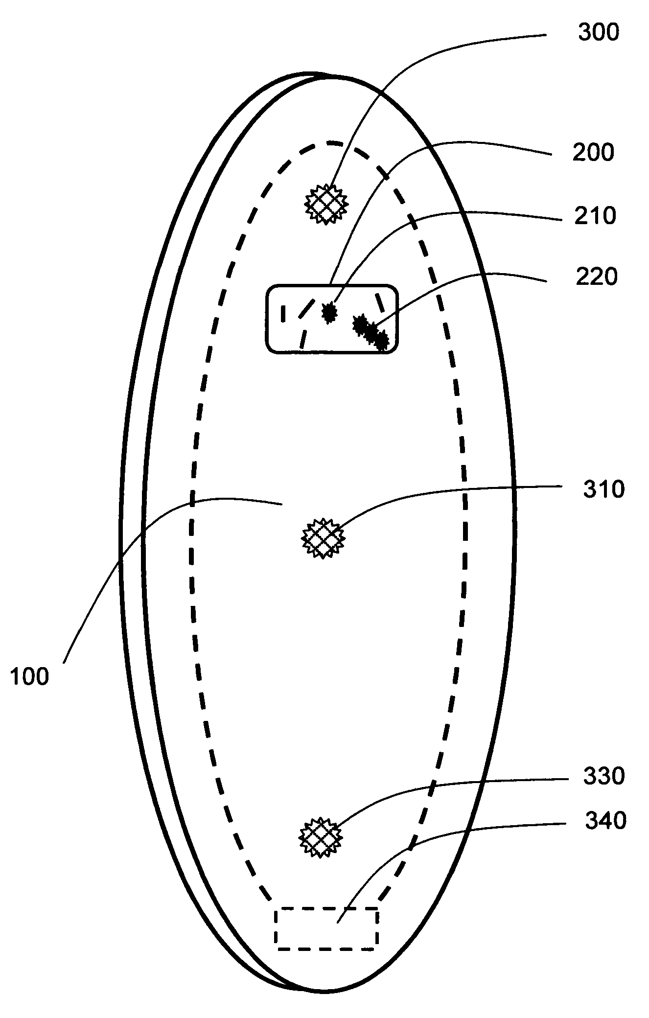 Transparent surfboard with shark locating and repelling system