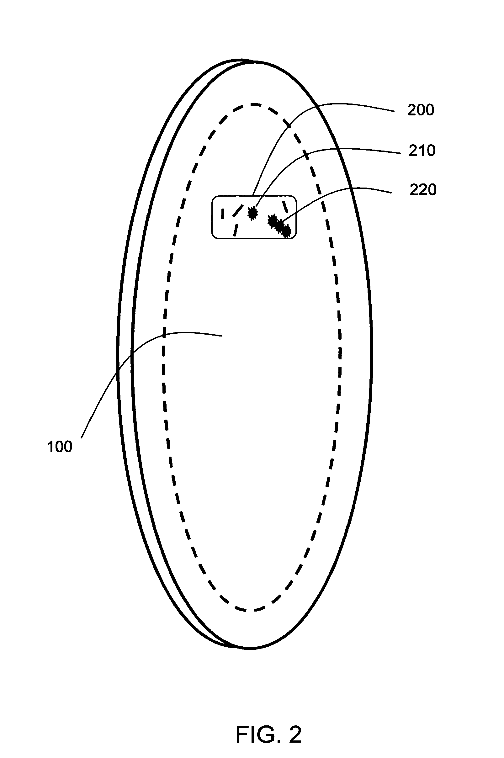 Transparent surfboard with shark locating and repelling system