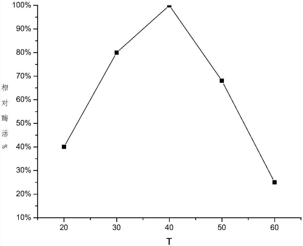 Branching enzyme and application of branching enzyme for preparing resistant dextrin