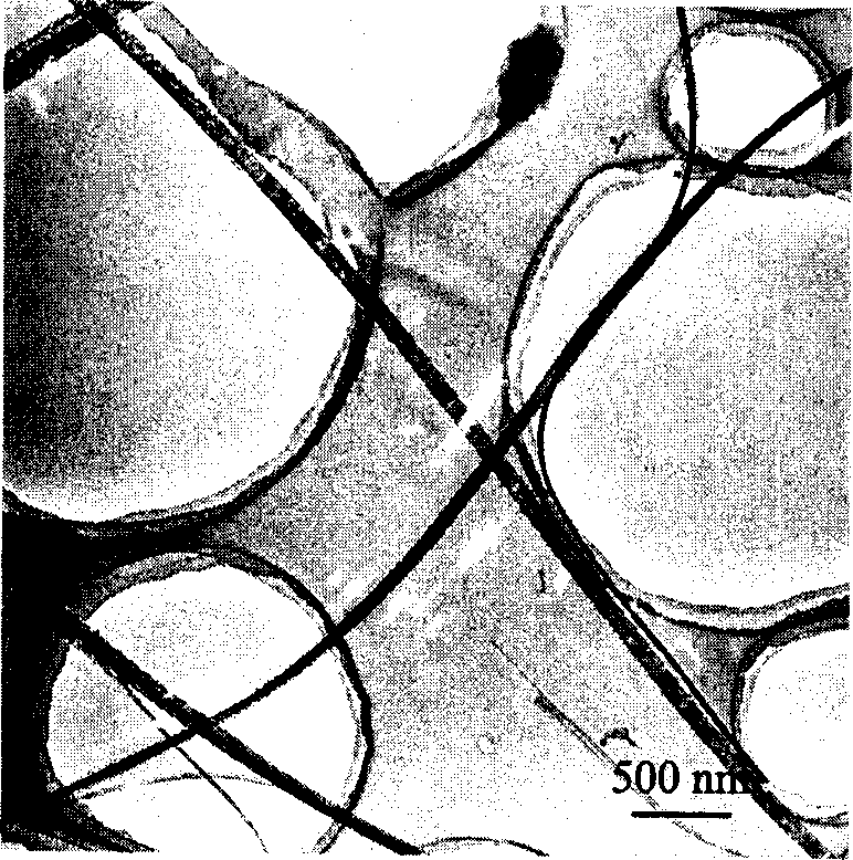 Process for synthesizing nano linear carbon array