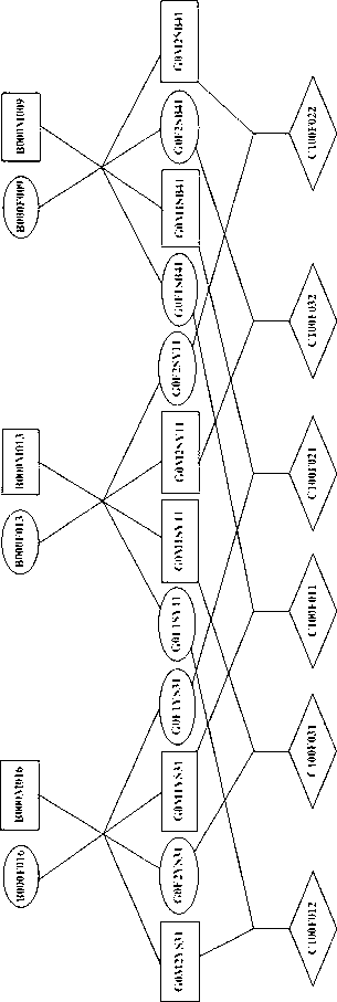 Aquatic animal selective breeding method adopting group as unit