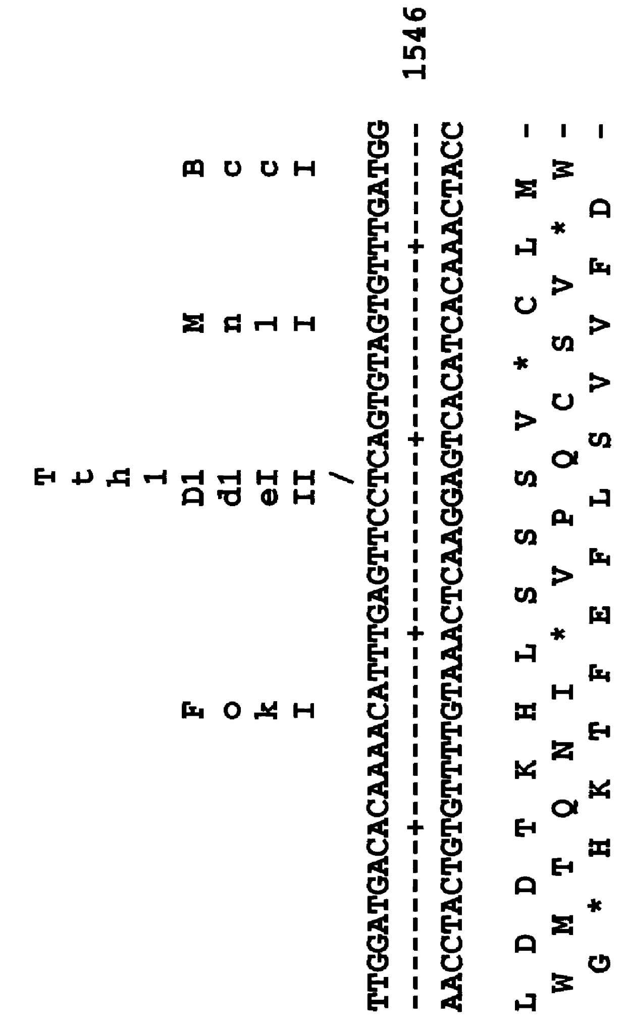 Modification of seed crops with transcription factors