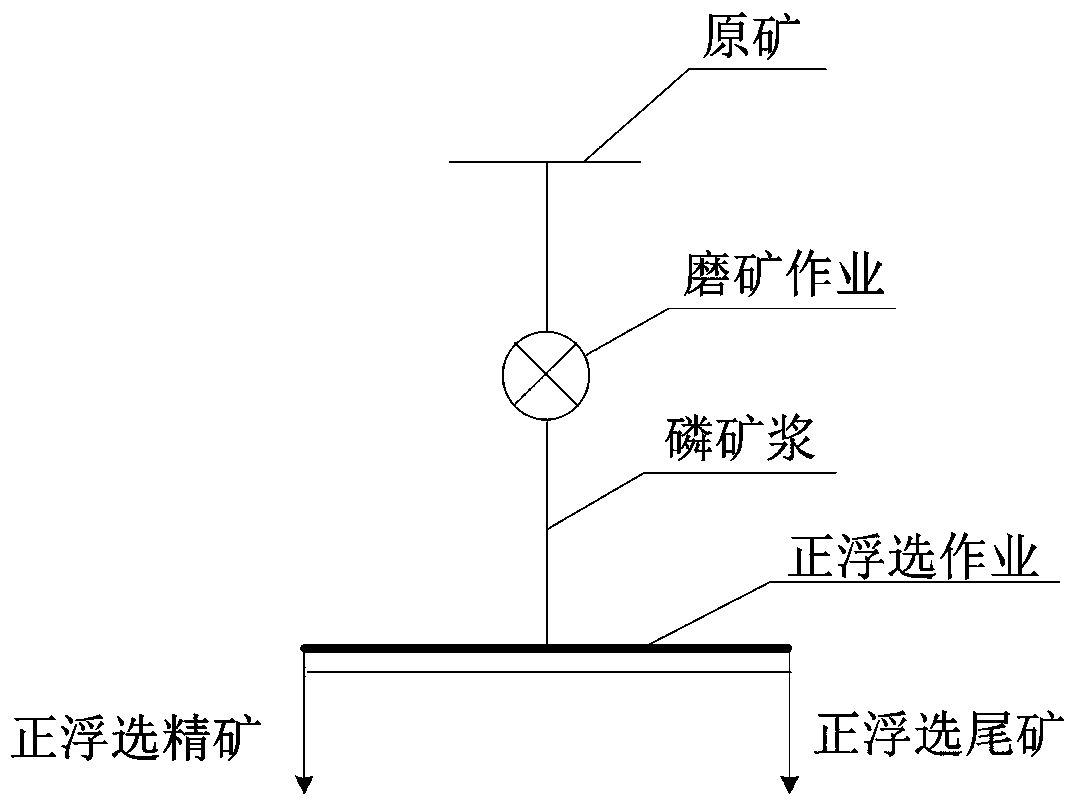 Screening-gravity separation technology added before obverse flotation operation of phosphorite