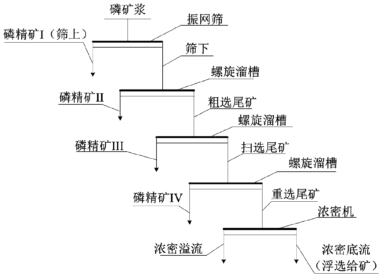 Screening-gravity separation technology added before obverse flotation operation of phosphorite