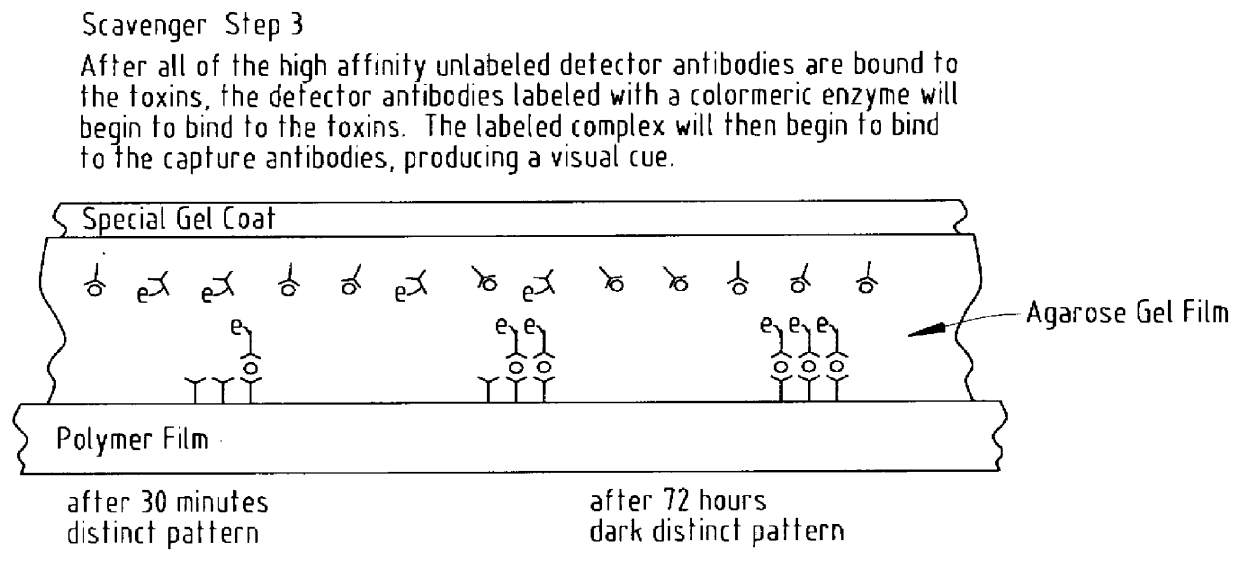 Method and apparatus for selective biological material detection