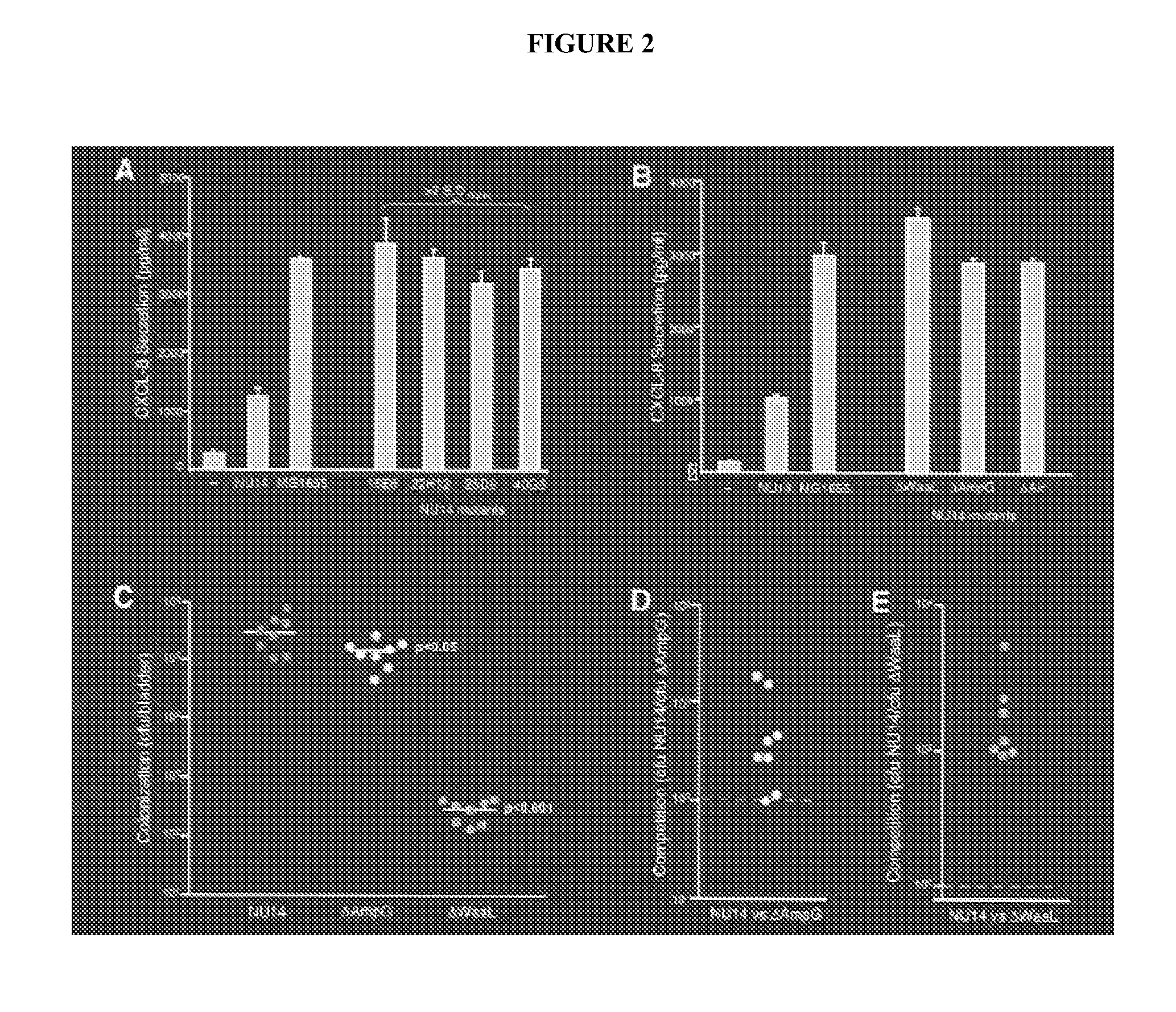 Live-attenuated compositions for bacterial infections