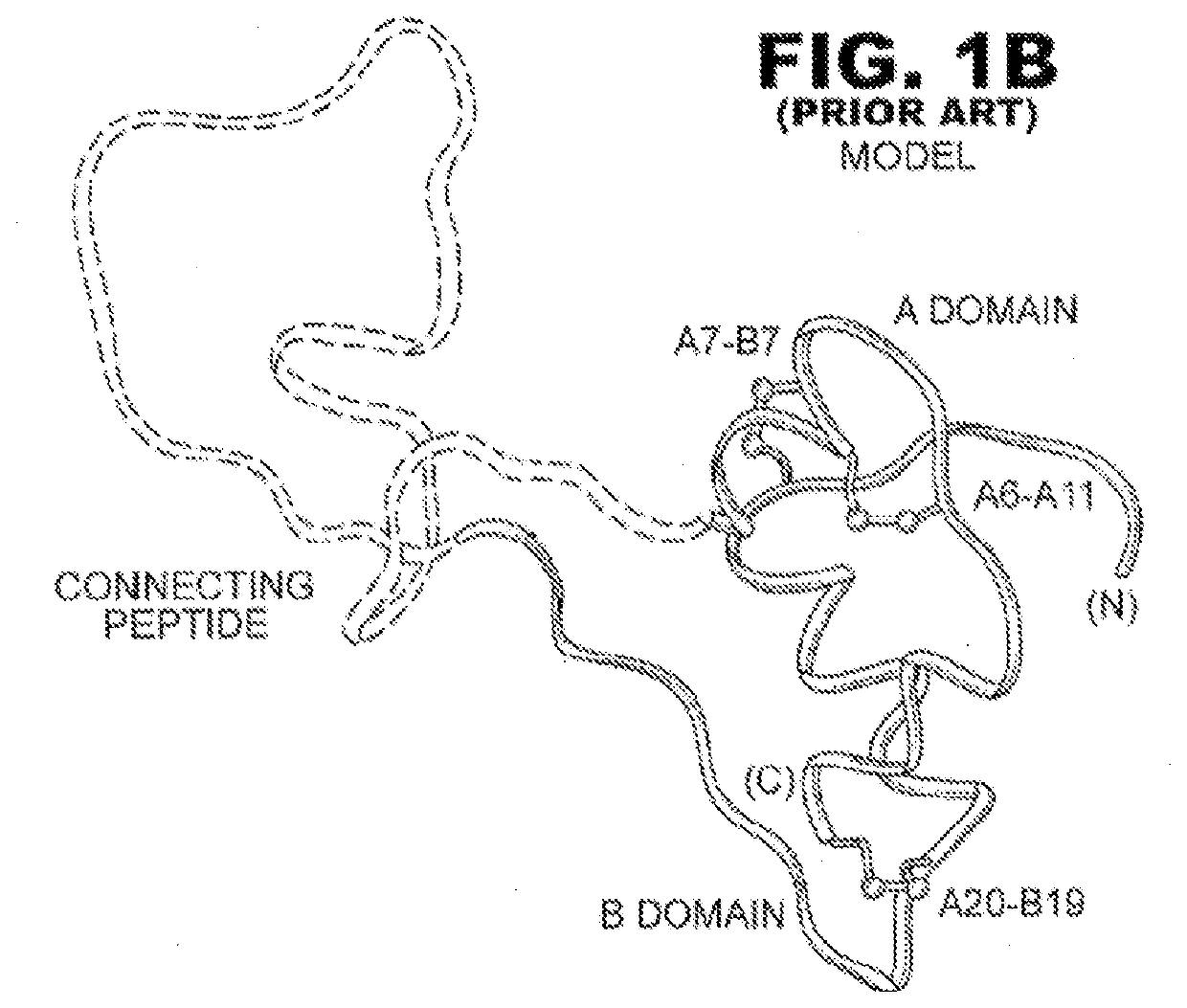 Encapsulation of ultra-stable insulin analogues with polymer melts