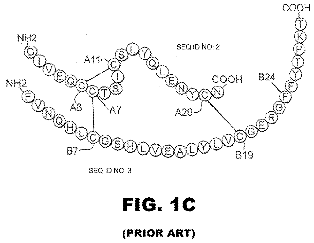 Encapsulation of ultra-stable insulin analogues with polymer melts