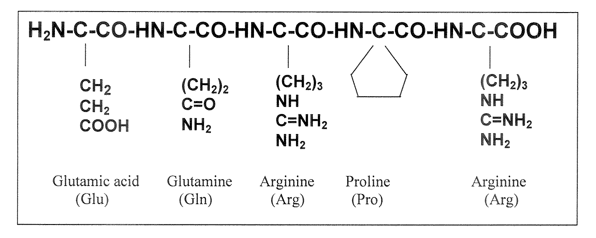 Bioactive pentapeptides from rice bran and use thereof