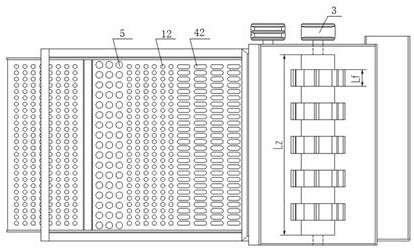 Pricklyash peel screening machine