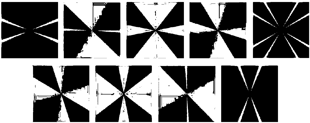 Vein recognition method based on riesz wavelet and sslm model