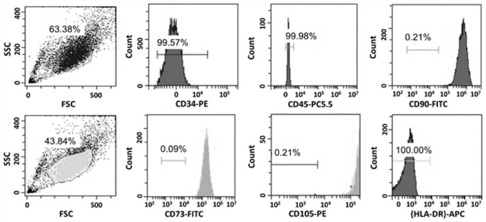 Stem cell serum-free culture medium and preparation method and application thereof