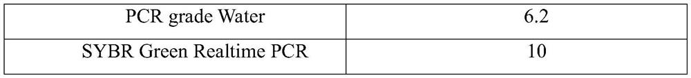 Propagation method for homozygous mice with IFN-gamma gene defect and application of propagation method