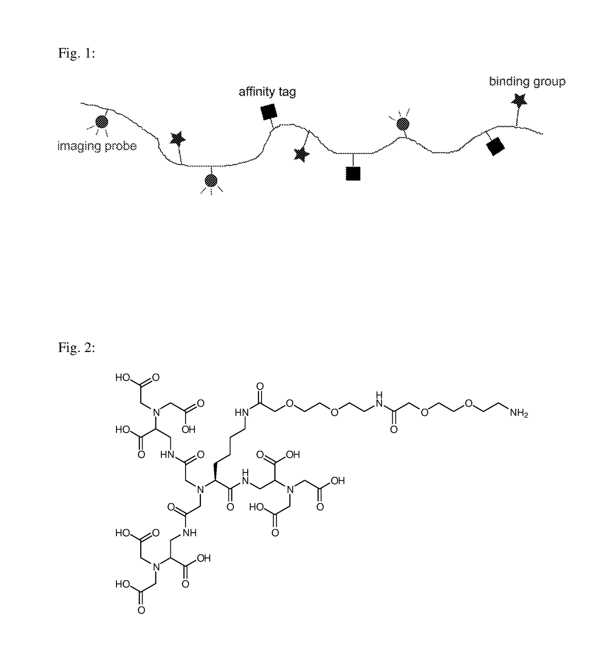 Macromolecular conjugates for isolation, immobilization and visualization of proteins