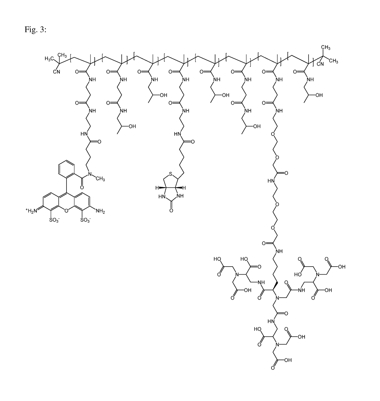 Macromolecular conjugates for isolation, immobilization and visualization of proteins