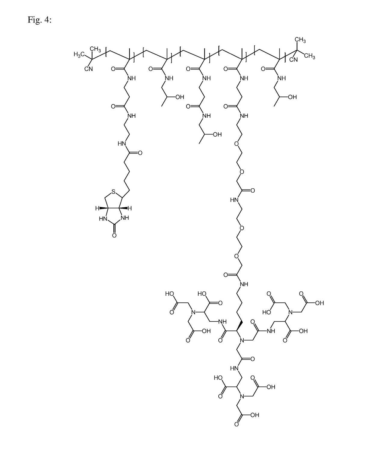 Macromolecular conjugates for isolation, immobilization and visualization of proteins