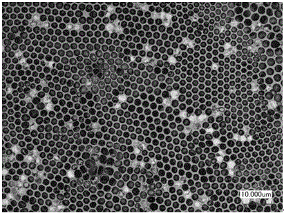 Method for preparing large-area orderly porous membrane