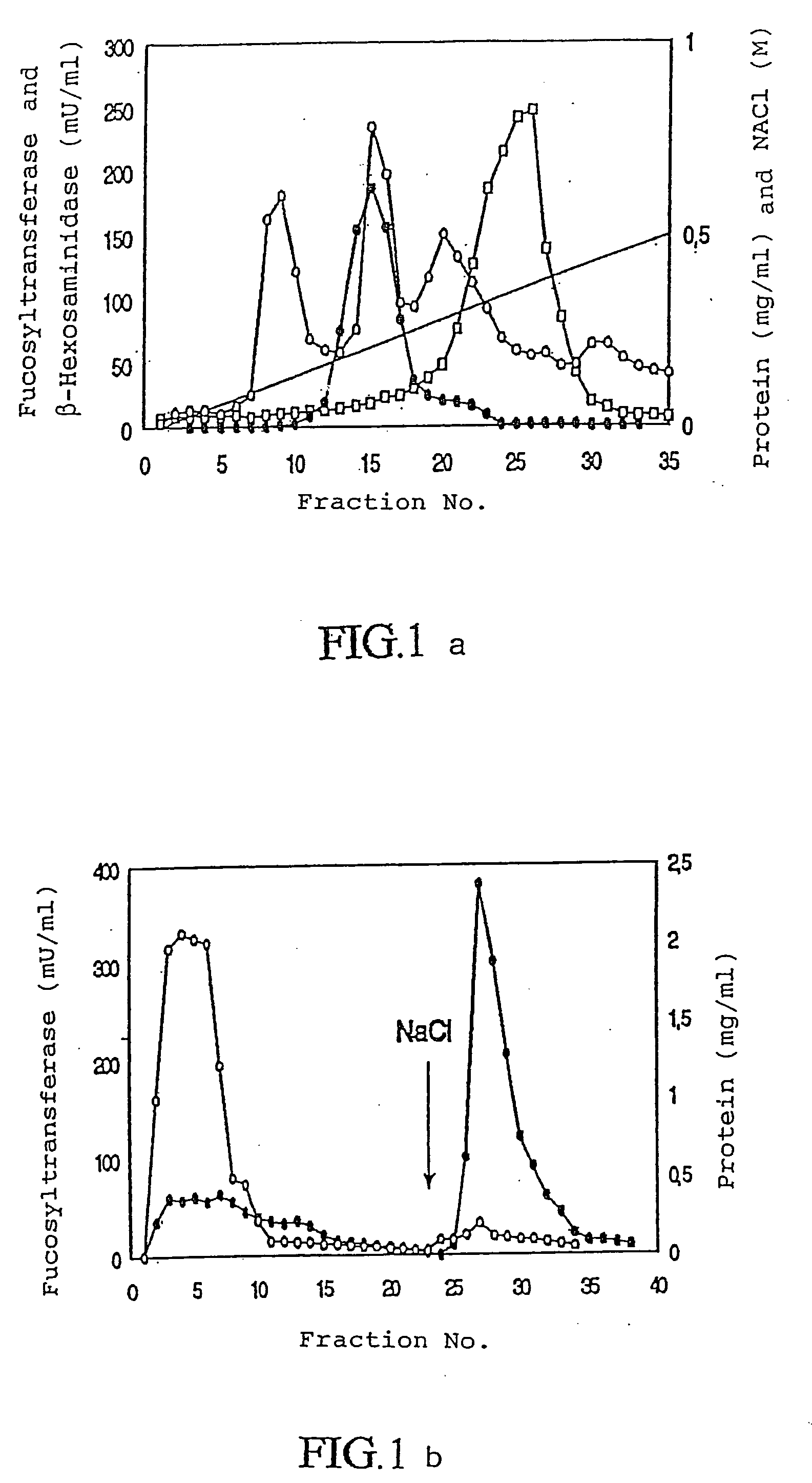 Fucosyl transferase gene