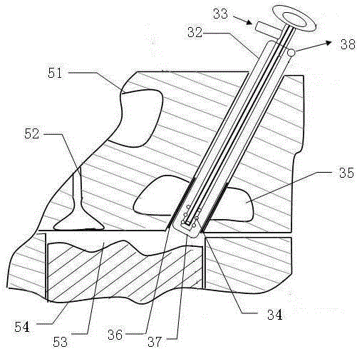 A visual test device and test method for spray and combustion in a diesel engine cylinder