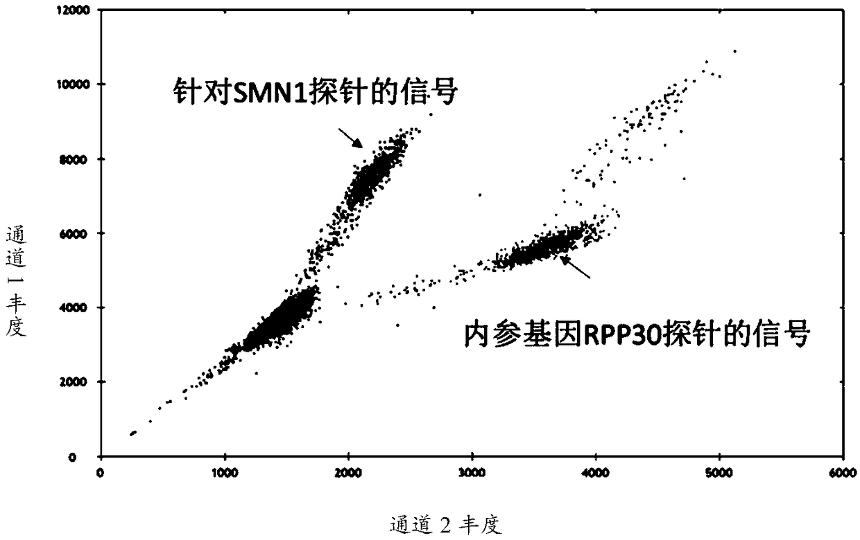 Spinal muscular atrophy detection kit and application thereof