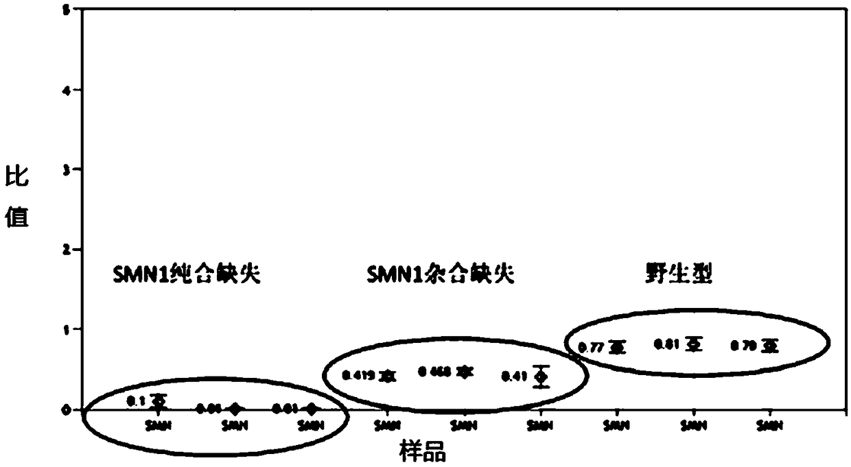 Spinal muscular atrophy detection kit and application thereof