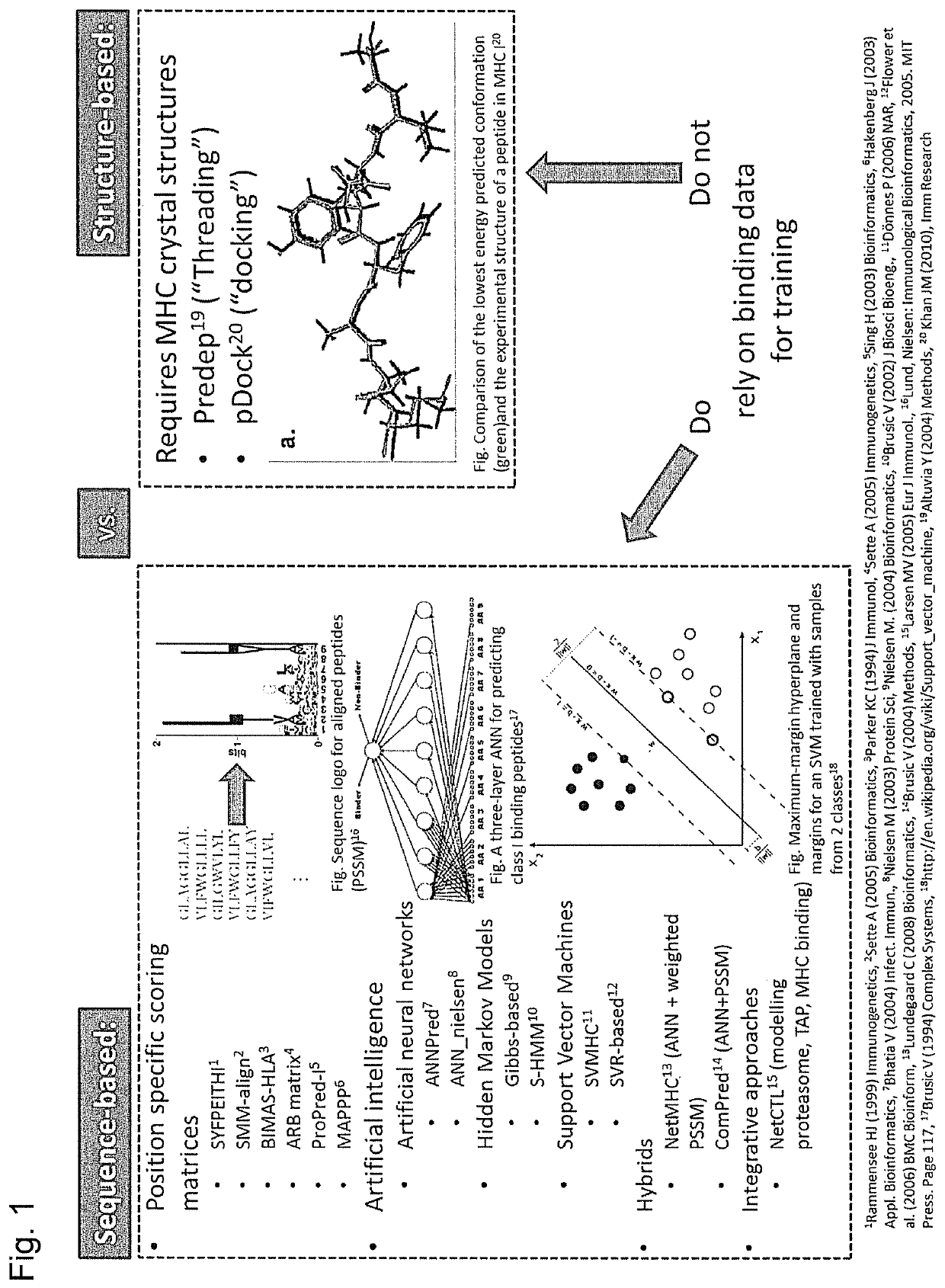 Predicting immunogenicity of T cell epitopes