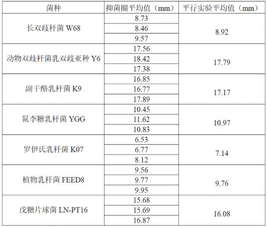 Traditional Chinese medicine and probiotic compound product for improving qi deficiency type constipation and preparation method of traditional Chinese medicine and probiotic compound product