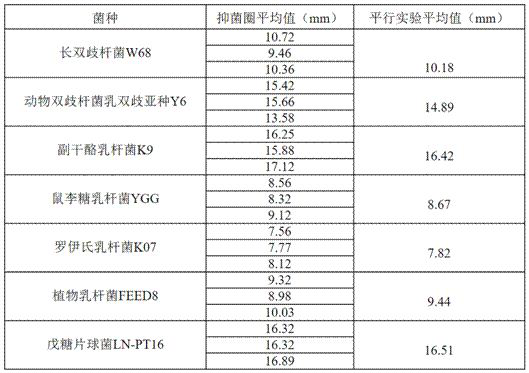 Traditional Chinese medicine and probiotic compound product for improving qi deficiency type constipation and preparation method of traditional Chinese medicine and probiotic compound product