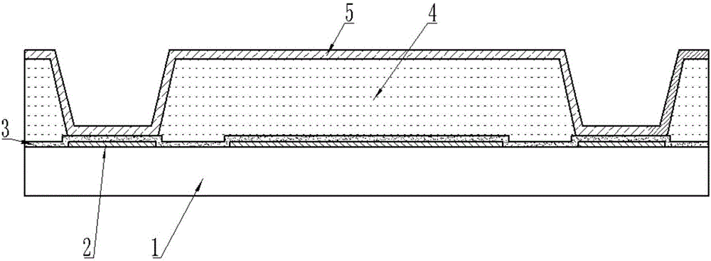 Infrared detector for preparing titanium oxide electrodes through ion implantation and preparation method of infrared detector