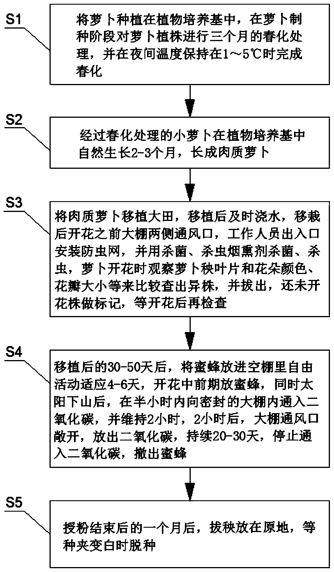 Method for promoting radish pollination through carbon dioxide and honey