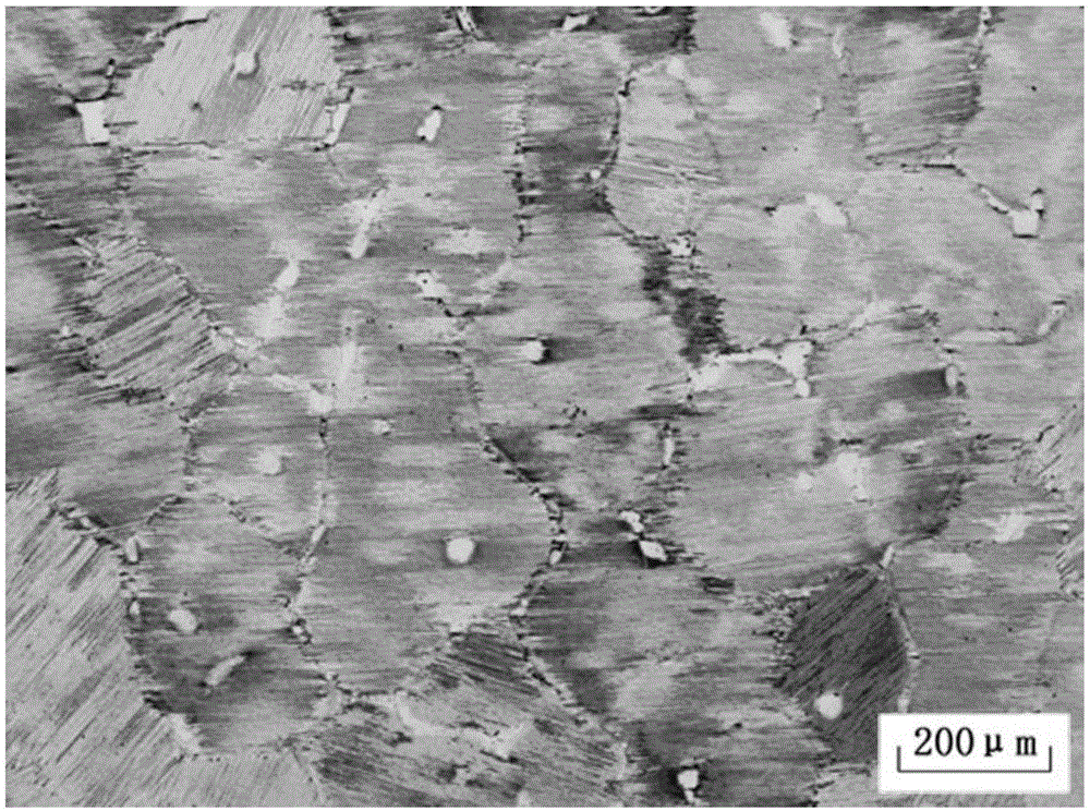 Preparation method of TiAl alloy quasi seed crystals