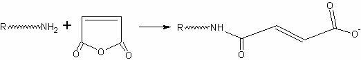 Preparation method of modified gelatin