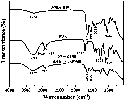 Method for preparing high-toughness cottonseed protein based composite membrane