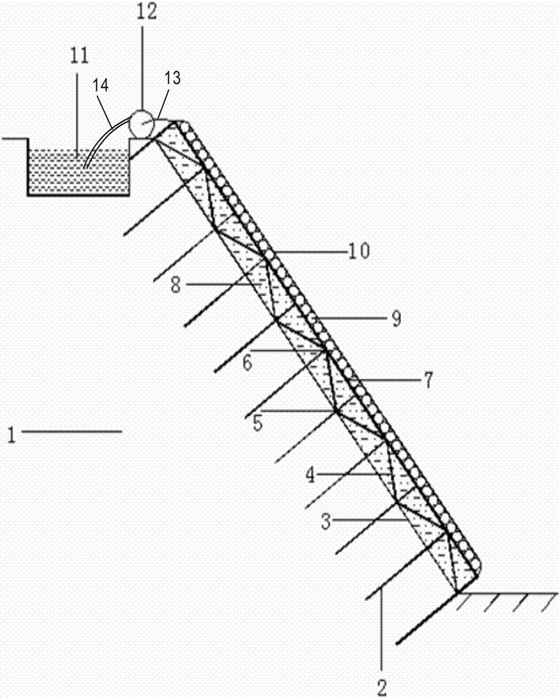 Flood irrigation net type composite protective structure and method for applying same to ecologically protecting high and steep side slope