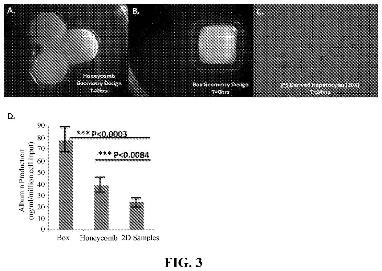 Use of Engineered Liver Tissue Constructs for Modeling Liver Disorders