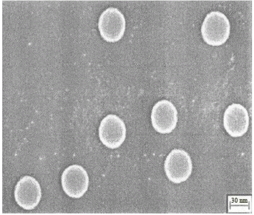 Vacuum impregnation nano hole sealing agent with high permeability as well as preparation method and application thereof