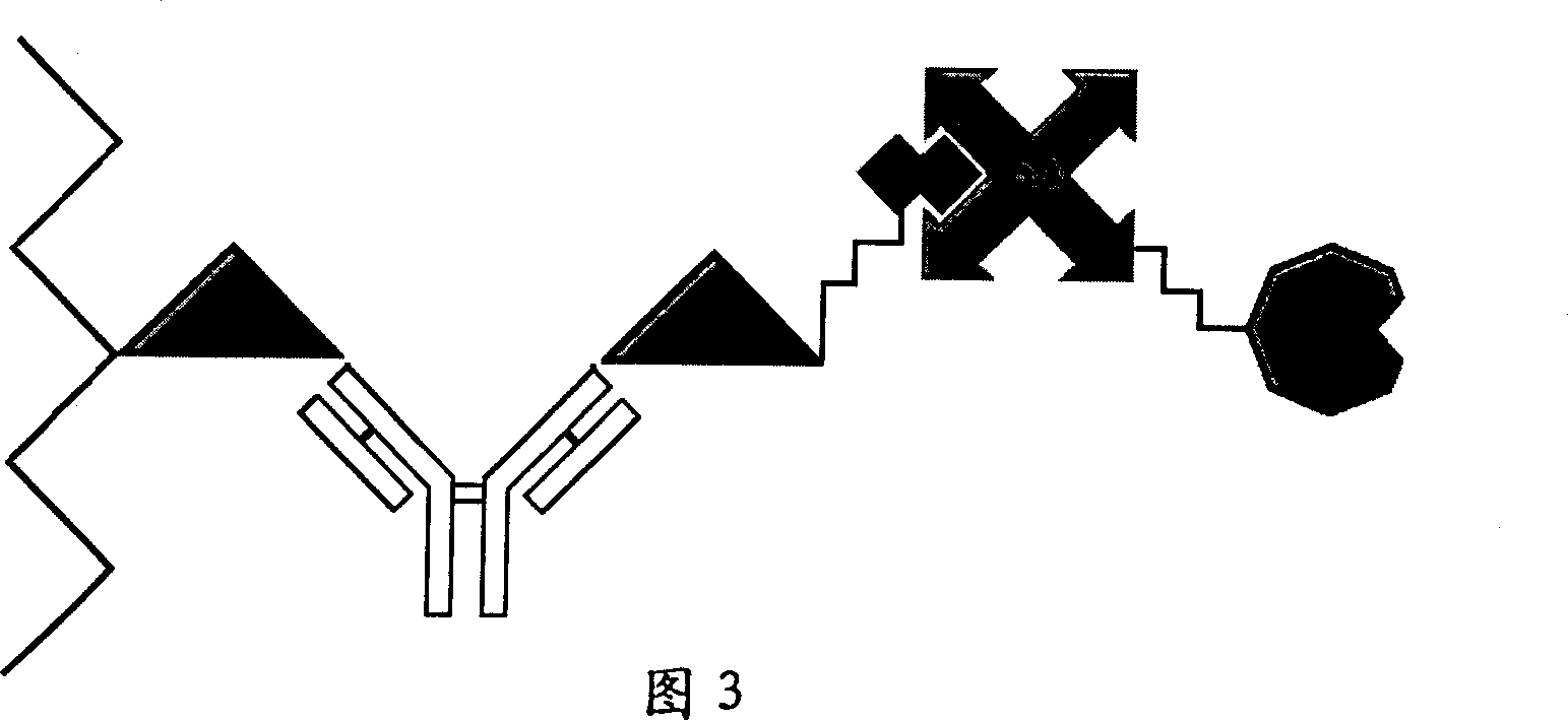 Protein chip based on labeling streptavidin-biotin technology