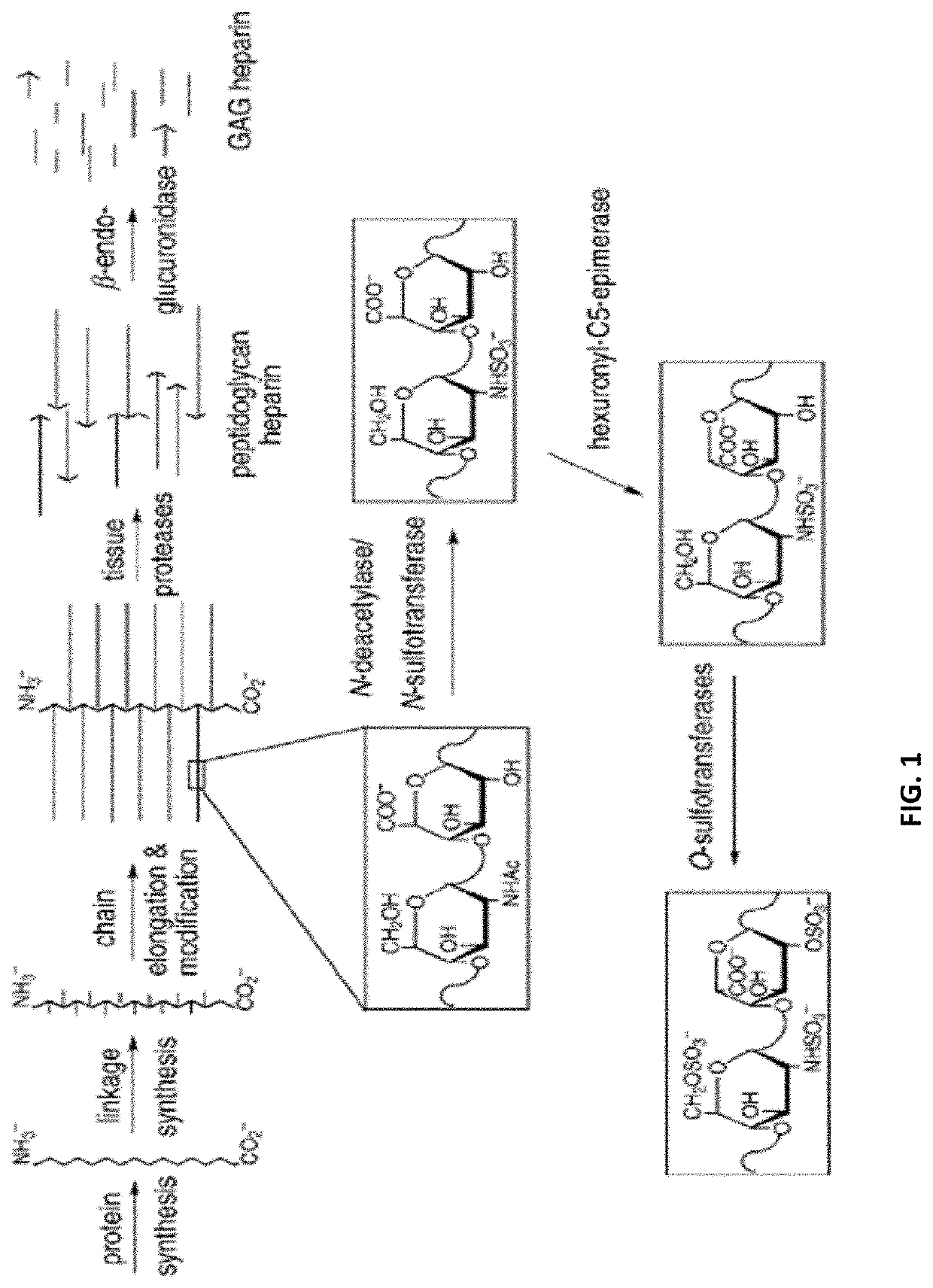 Method for the Analysis of Glycosaminoglycans, and Their Derivatives and Salts by Nuclear Magnetic Resonance