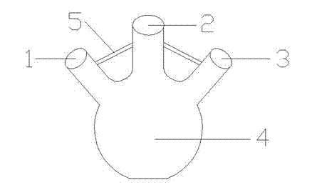 Three-mouth flask