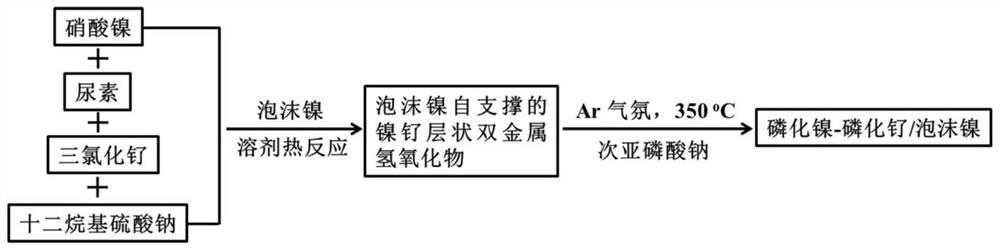 Preparation method and application of a nickel phosphide-ruthenium phosphide/nickel foam three-dimensional self-supporting electrode material