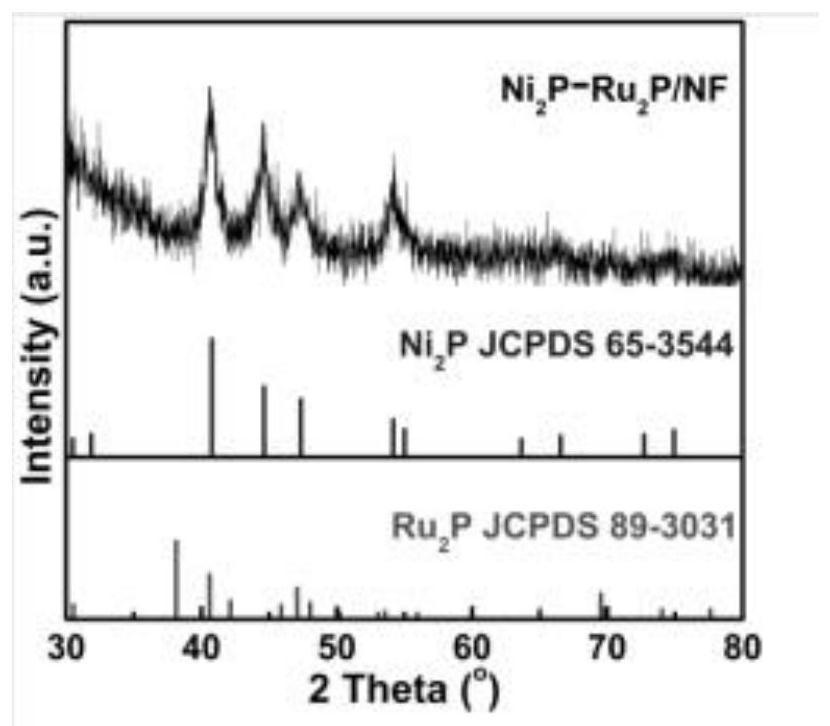 Preparation method and application of a nickel phosphide-ruthenium phosphide/nickel foam three-dimensional self-supporting electrode material