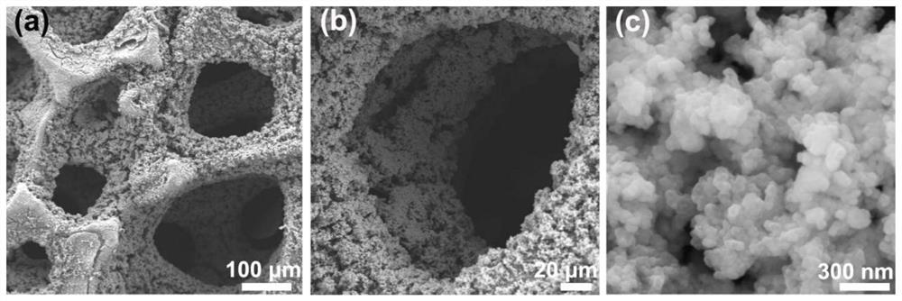 Preparation method and application of a nickel phosphide-ruthenium phosphide/nickel foam three-dimensional self-supporting electrode material