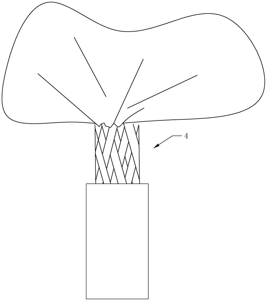 Breeding and cultivating methods for Lagerstroemia indica landscape trees capable of shrinking holes in three years and forming cylinders in five years