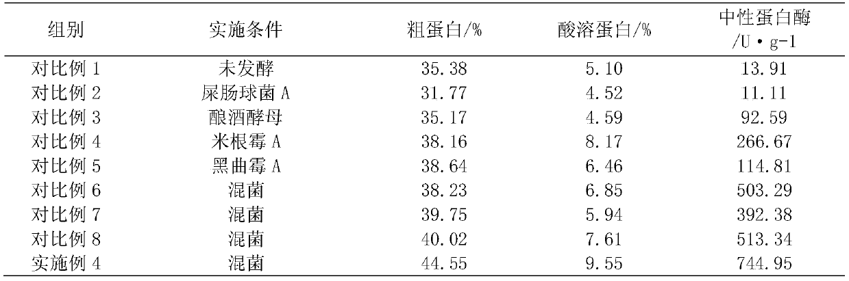 Fermented feed protein as well as preparation method and application thereof