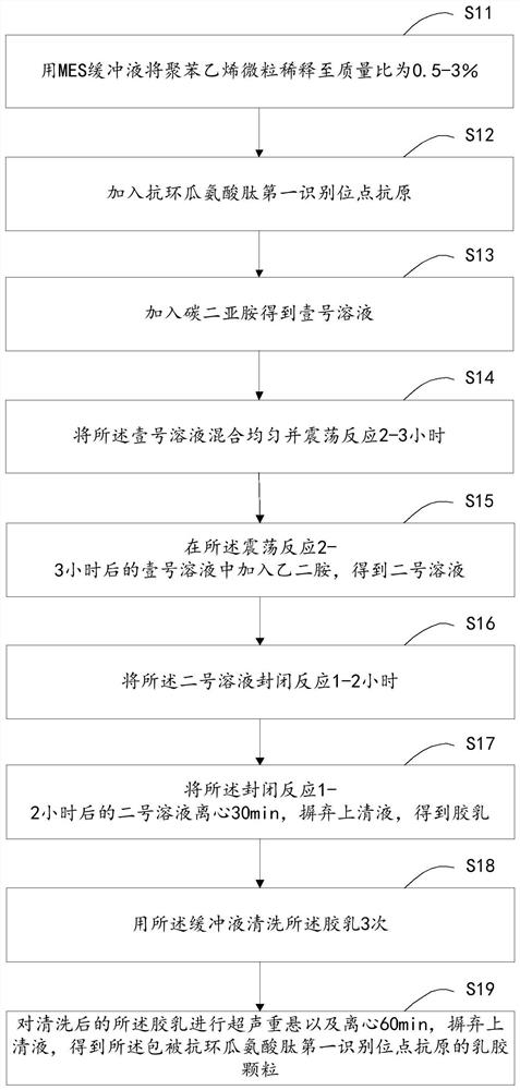 Kit and detection system for detecting anti-cyclic citrullinated peptide antibody