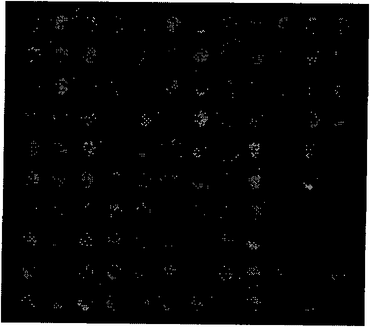 Calibration method for object surface three-dimensional contour structure light measurement system