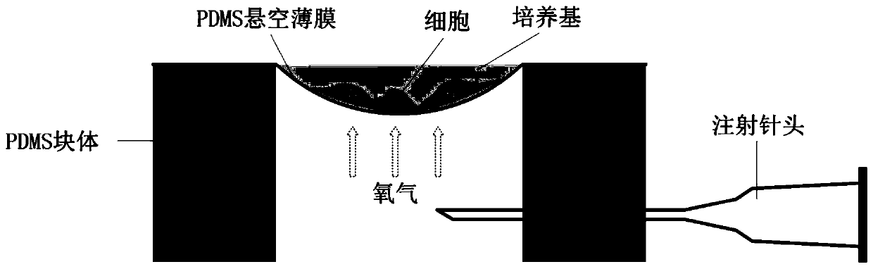 Method for manufacturing ultra-thin polydimethylsiloxane film and composite film thereof on basis of liquid interface suspension technology