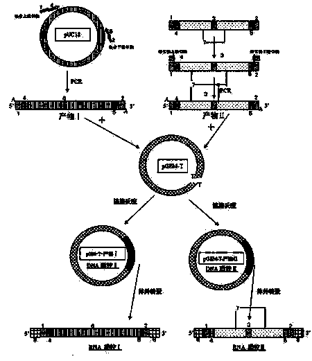 Preparation method for nucleic acid quality control by chimeric exogenous independent sequence