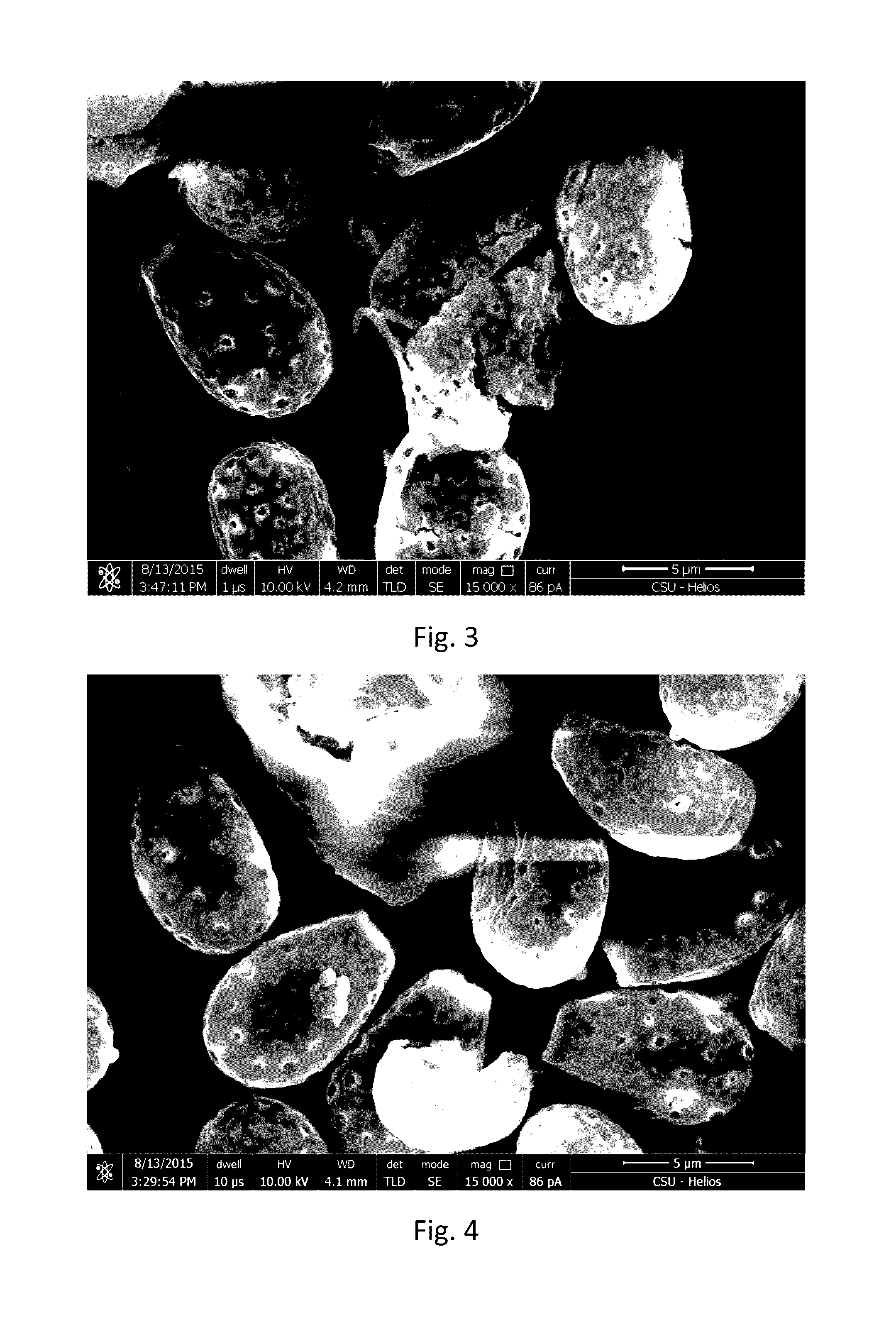 Method for breaking sporoderm of ganoderma spore powder and products obtained by the same