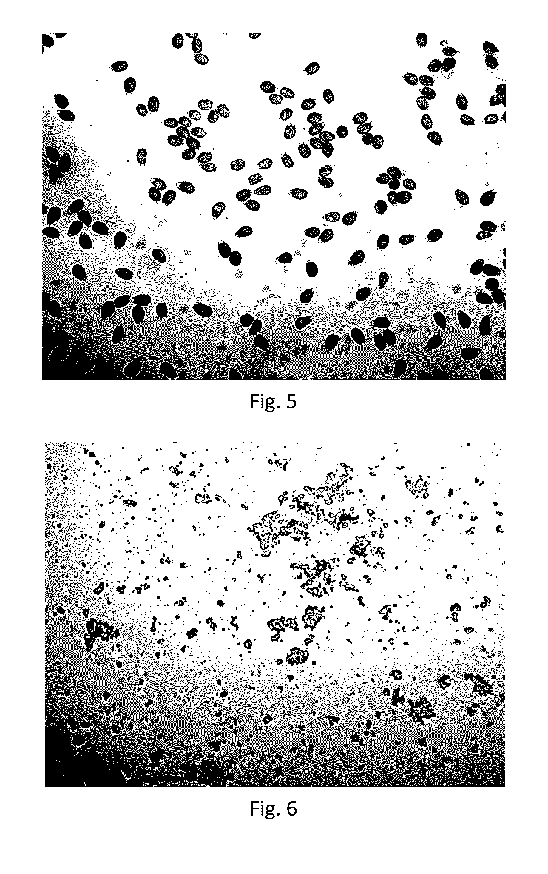 Method for breaking sporoderm of ganoderma spore powder and products obtained by the same